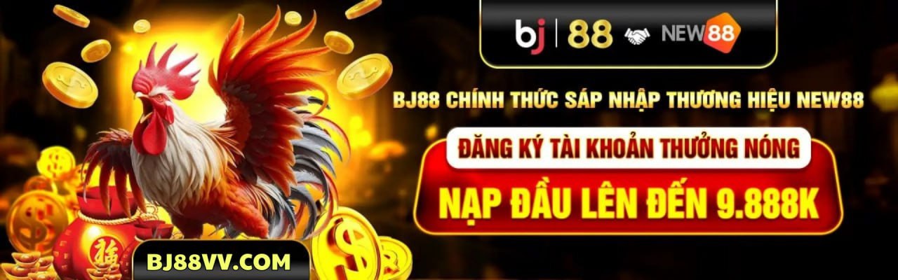 Banner BJ88