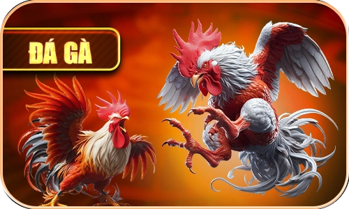 Đá Gà